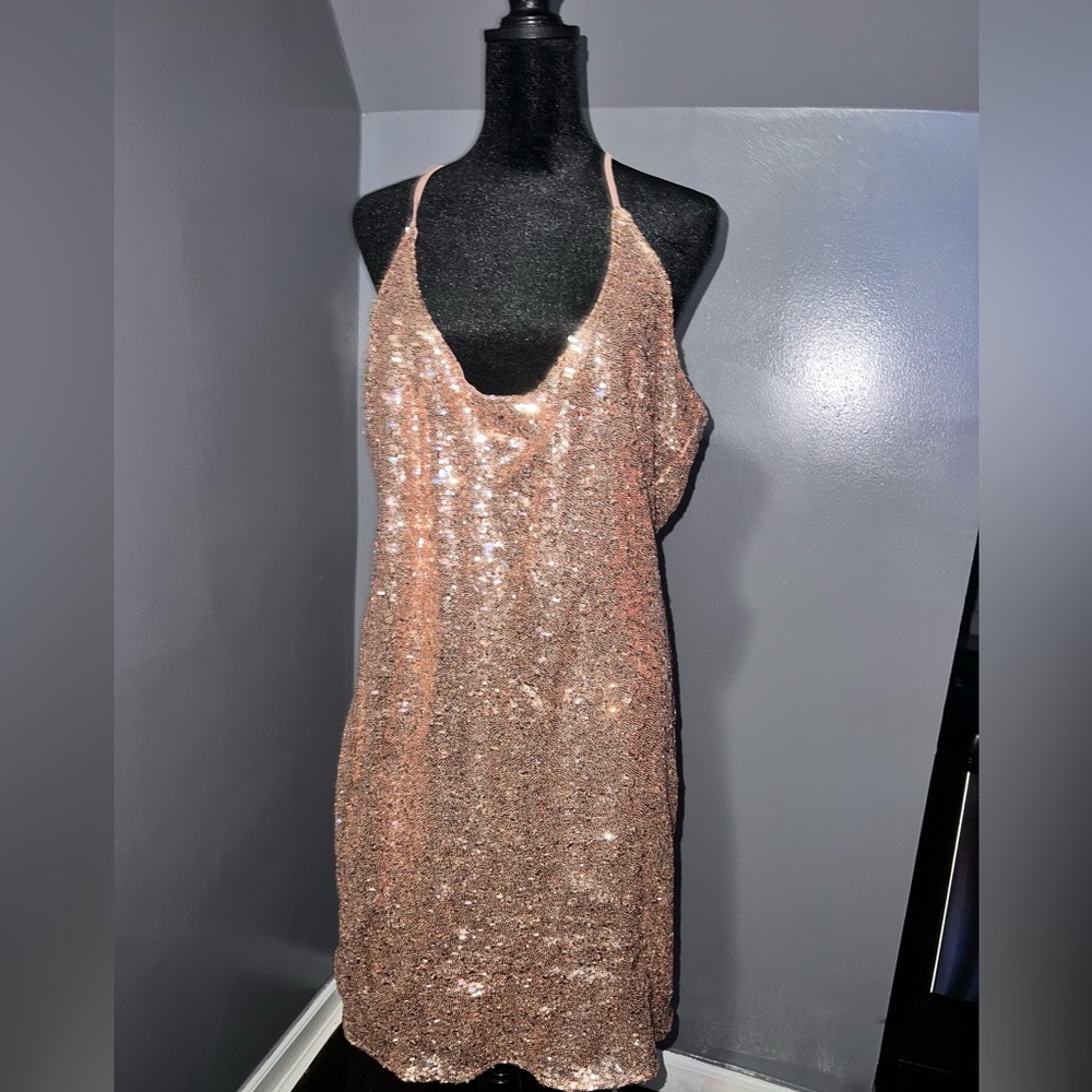 Fashion Nova Plus Size Sequin Dress
